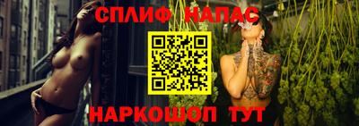 гидра Заволжье