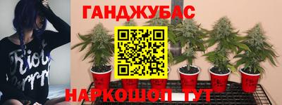 гидра Заволжье